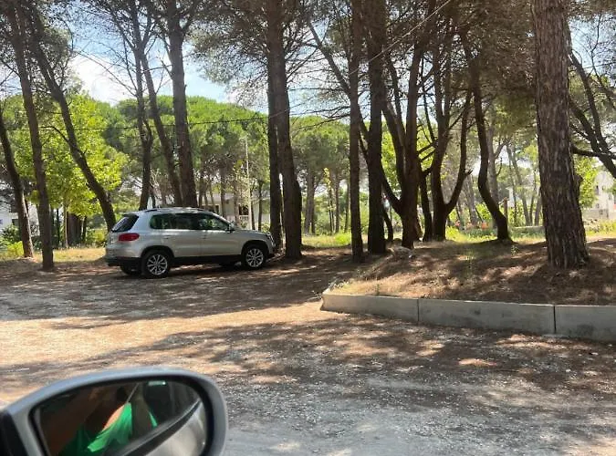 Roel 2 -apartments Avlonya