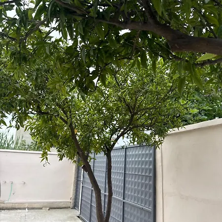 Roel 2 -apartments Влёра